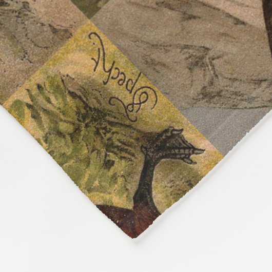 Farbige Vintage Entenmalerei Fleecedecke (Ecke)