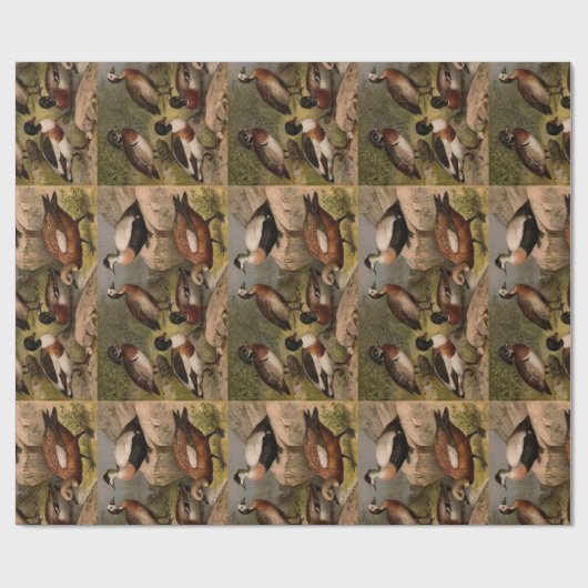 Farbige Vintage Entenmalerei Geschenkpapier (Flach)