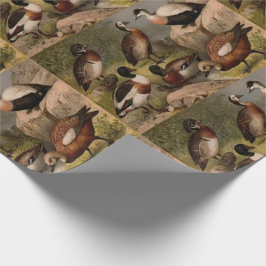 Farbige Vintage Entenmalerei Geschenkpapier (Ecke)