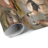 Farbige Vintage Entenmalerei Geschenkpapier (Rolleneckpunkt)