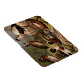 Farbige Vintage Entenmalerei Magnet (Rechte Seite)
