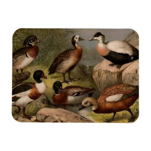 Farbige Vintage Entenmalerei Magnet
