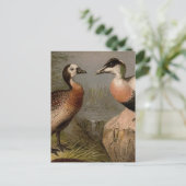 Farbige Vintage Entenmalerei Postkarte (Stehend Vorderseite)