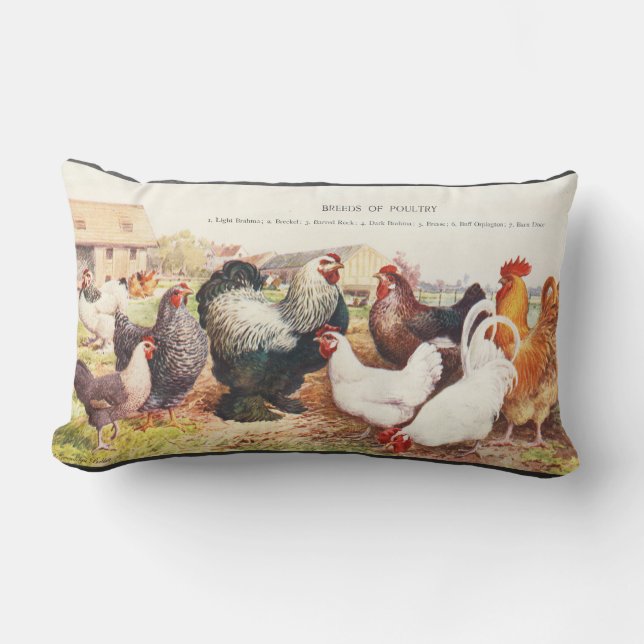 Farbige Vintage Gruppe von Hühnern auf Kissen (Vorderseite)