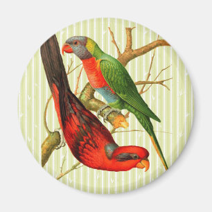Farbige Vintage-Illustration roter und grüner Papa Magnet