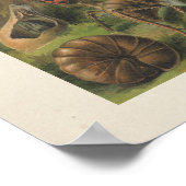 Farbige Vintage Insektendarstellung Poster (Ecke)