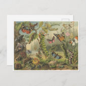 Farbige Vintage Insektendarstellung Postkarte (Vorne/Hinten)
