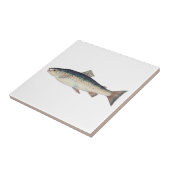 Farbige Vintage Lachsillustrierung Fliese (Seite)