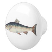 Farbige Vintage Lachsillustrierung Keramikknauf (Rechts)