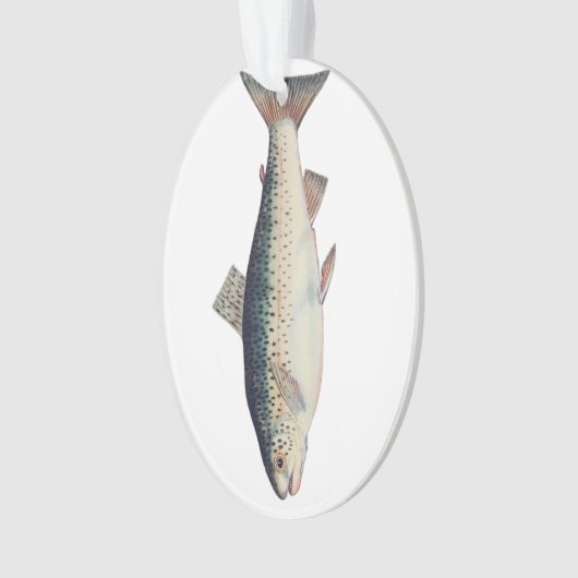 Farbige Vintage Lachsillustrierung Ornament (Vorderseite)