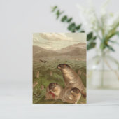 Farbige Vintage Murmeltier-Illustrationskarte Postkarte (Stehend Vorderseite)