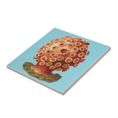 Farbige Vintage Rot-Tunicus-Abbildung Fliese (Seite)