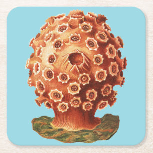 Farbige Vintage Rot-Tunicus-Abbildung Rechteckiger Pappuntersetzer