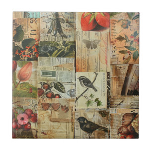 Farbige Vögel Antike Zeitung Natur Collage Fliese