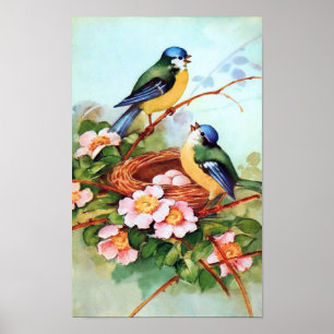 Farbige Vögel im Springtime-Poster Poster