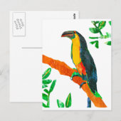 Farbige Vögel Toucan Postkarte (Vorne/Hinten)