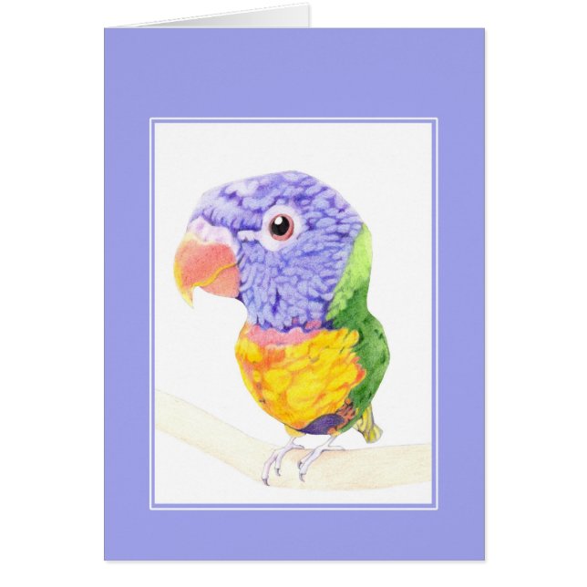 Farbige Vogelkarte (Vorne)