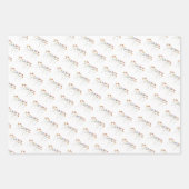 Farbige Wildblume Geburtstag Geschenkpapier Set (Vorderseite)