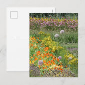 Farbige Wildblumen Feld DIT Postkarte (Vorne/Hinten)