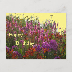 Farbige Wilde Blumen Glückliches Geburtstag Postka Postkarte