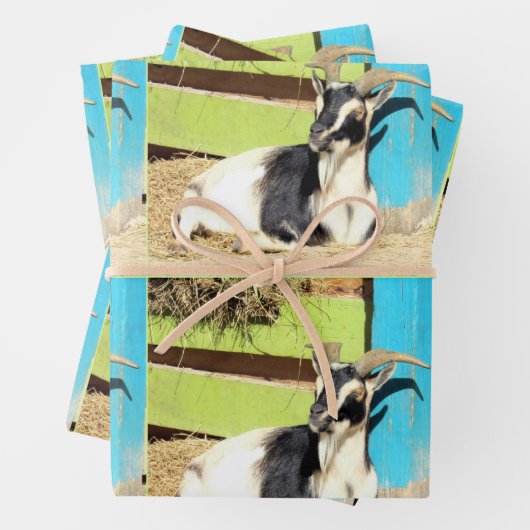 Farbige Ziegenumhüllungsblätter Geschenkpapier Set (Beispiel)
