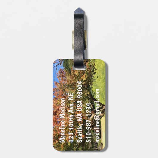 Farbiger Ahornbaum im Herbst Gepäckanhänger (Rückseite vertikal)