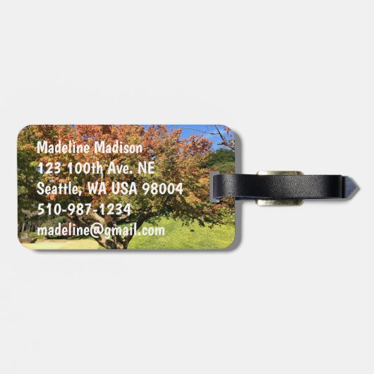 Farbiger Ahornbaum im Herbst Gepäckanhänger (Rückseite horizontal)