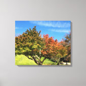 Farbiger Ahornbaum im Herbst Leinwanddruck (Vorderseite)
