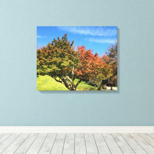 Farbiger Ahornbaum im Herbst Leinwanddruck (Insitu (Holzboden))