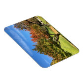 Farbiger Ahornbaum im Herbst Magnet (Rechte Seite)