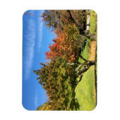 Farbiger Ahornbaum im Herbst Magnet (Vertikal)