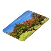 Farbiger Ahornbaum im Herbst Magnet (Linke Seite)