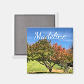 Farbiger Ahornbaum im Herbst Magnet (Vorderseite/Rückseite)