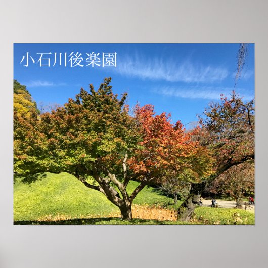 Farbiger Ahornbaum im Herbst Poster (Vorne)