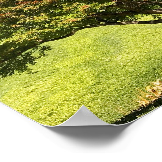 Farbiger Ahornbaum im Herbst Poster (Ecke)