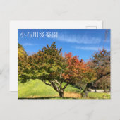 Farbiger Ahornbaum im Herbst Postkarte (Vorne/Hinten)