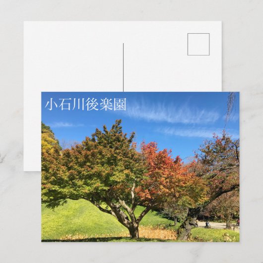 Farbiger Ahornbaum im Herbst Postkarte (Vorne/Hinten)