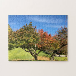 Farbiger Ahornbaum im Herbst Puzzle