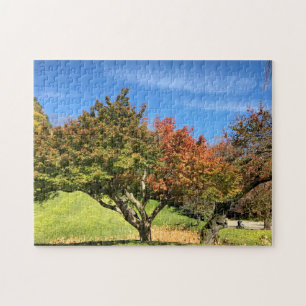 Farbiger Ahornbaum im Herbst Puzzle