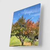 Farbiger Ahornbaum im Herbst Quadratische Wanduhr (Winkel)