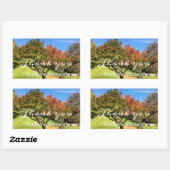 Farbiger Ahornbaum im Herbst Rechteckiger Aufkleber (Blatt)