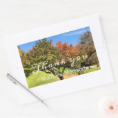 Farbiger Ahornbaum im Herbst Rechteckiger Aufkleber (Umschlag)