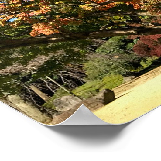 Farbiger Ahornbaum Poster (Ecke)