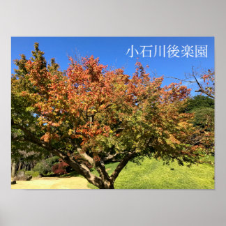 Farbiger Ahornbaum Poster