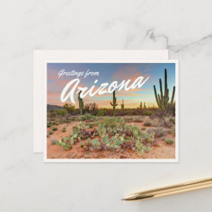 Farbiger Arizona-Sonnenuntergang Saguaro-Kaktus Gr Postkarte