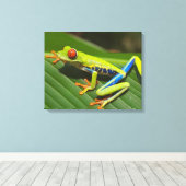 Farbiger Baumfrosch Leinwanddruck (Insitu (Holzboden))