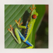 Farbiger Baumfrosch Puzzle (Horizontal)