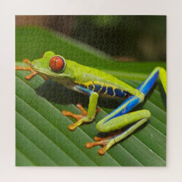 Farbiger Baumfrosch Puzzle