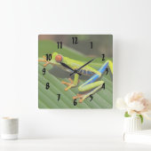 Farbiger Baumfrosch Quadratische Wanduhr (Zuhause)
