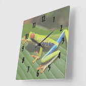 Farbiger Baumfrosch Quadratische Wanduhr (Winkel)